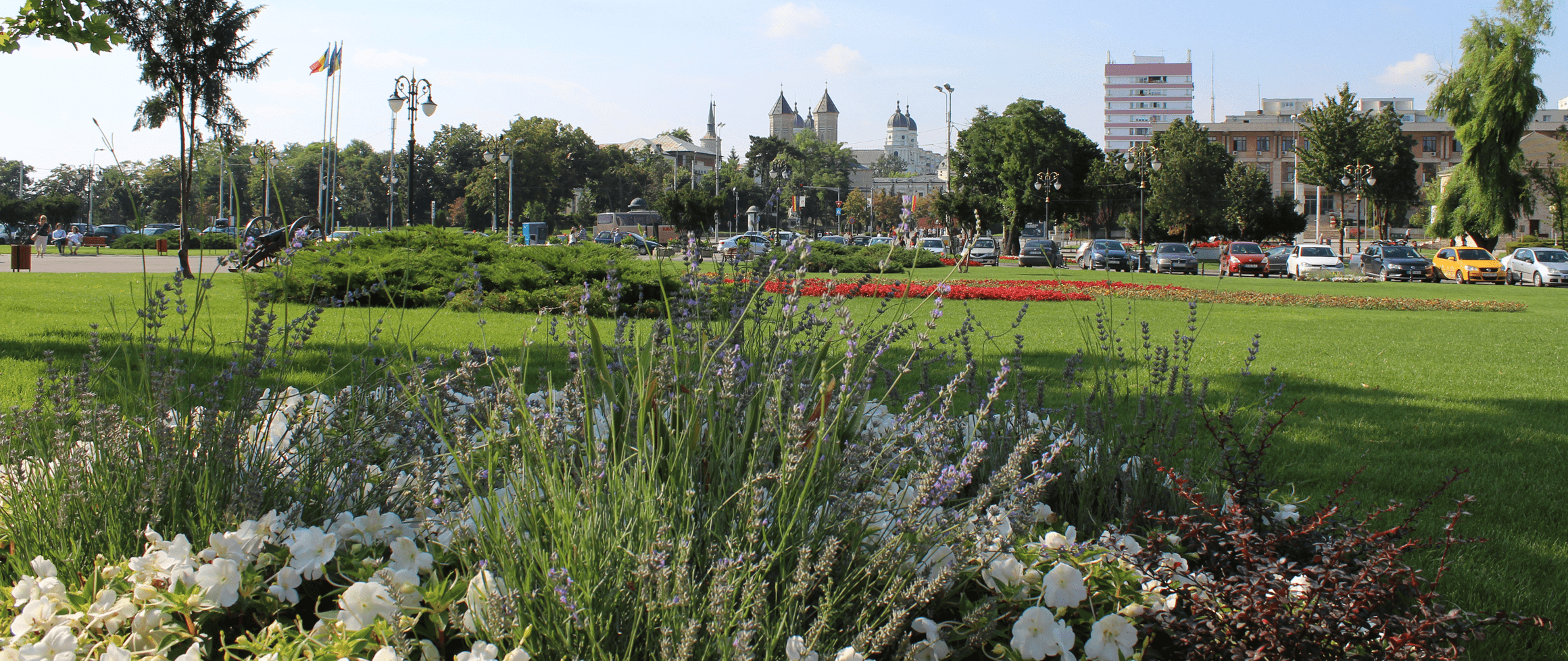 Iasi-Cover
