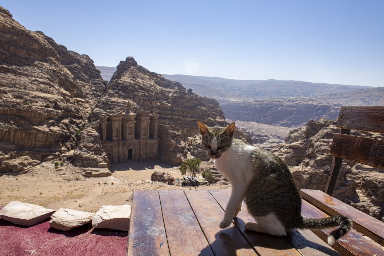 Maģiskā Petra – akmenī zudusī pilsēta
