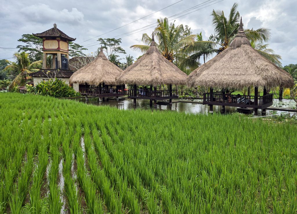 Ko apskatīt Ubudā