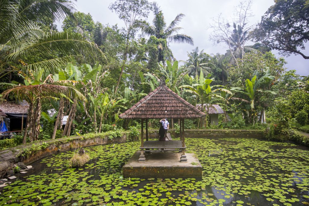 Ko apskatīt Ubudā