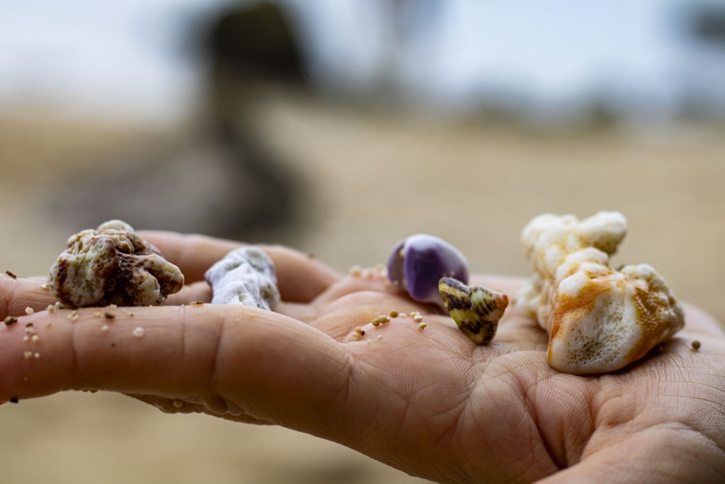 Uluwatu piekrastes atpūta Bali salā