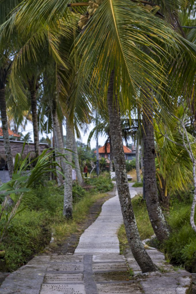 Ko apskatīt Ubudā