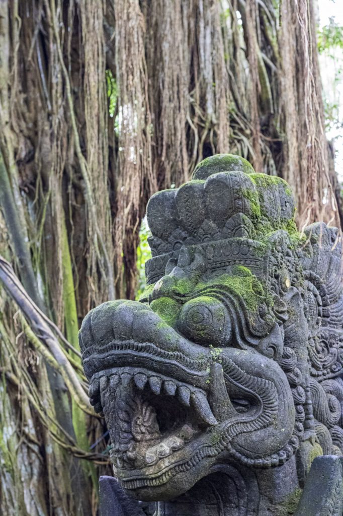 Ko apskatīt Ubudā