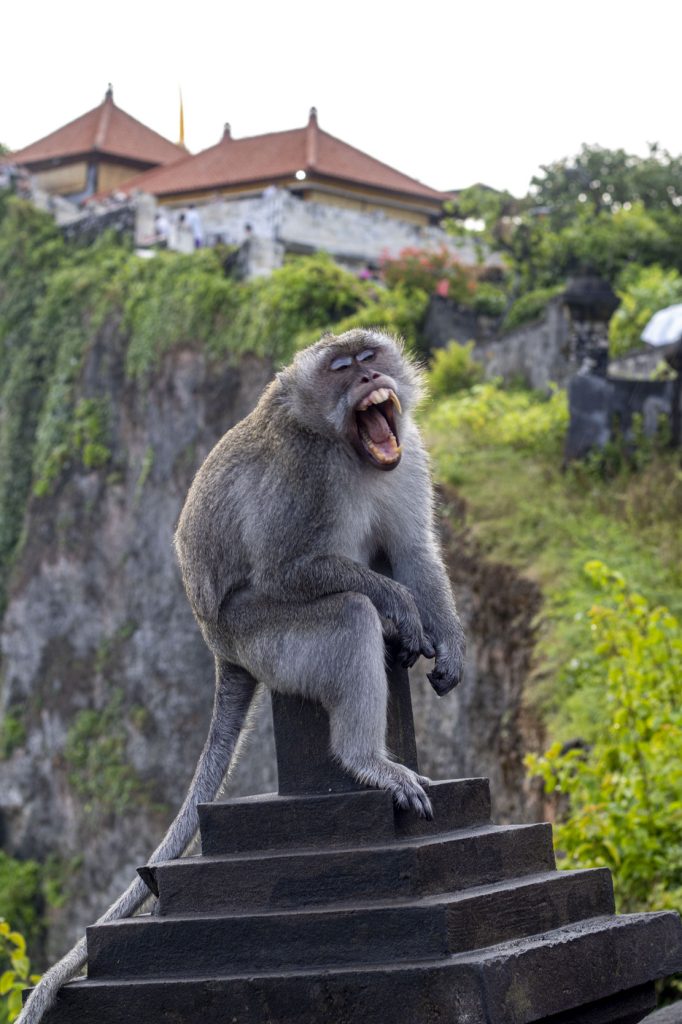 Uluwatu piekrastes atpūta Bali salā