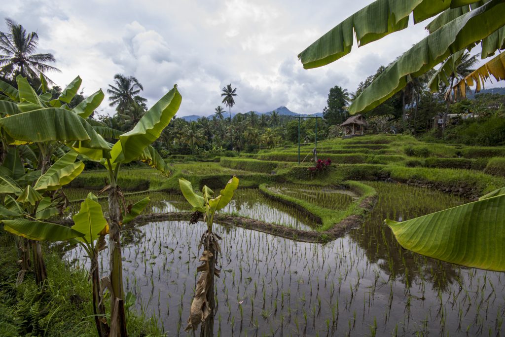 Ko apskatīt ziemeļu Bali