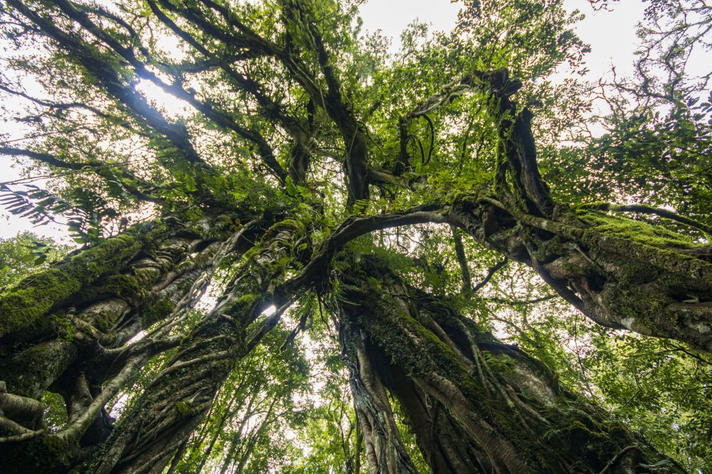 Ko apskatīt ziemeļu Bali
