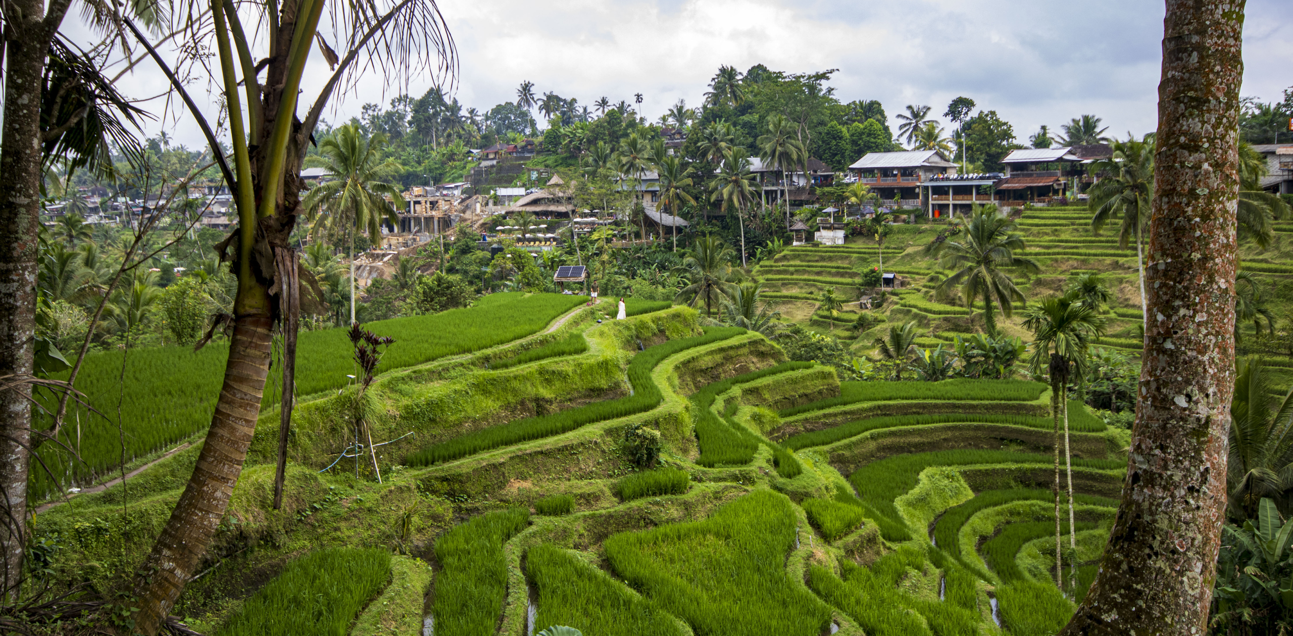 Ubud Cover 3