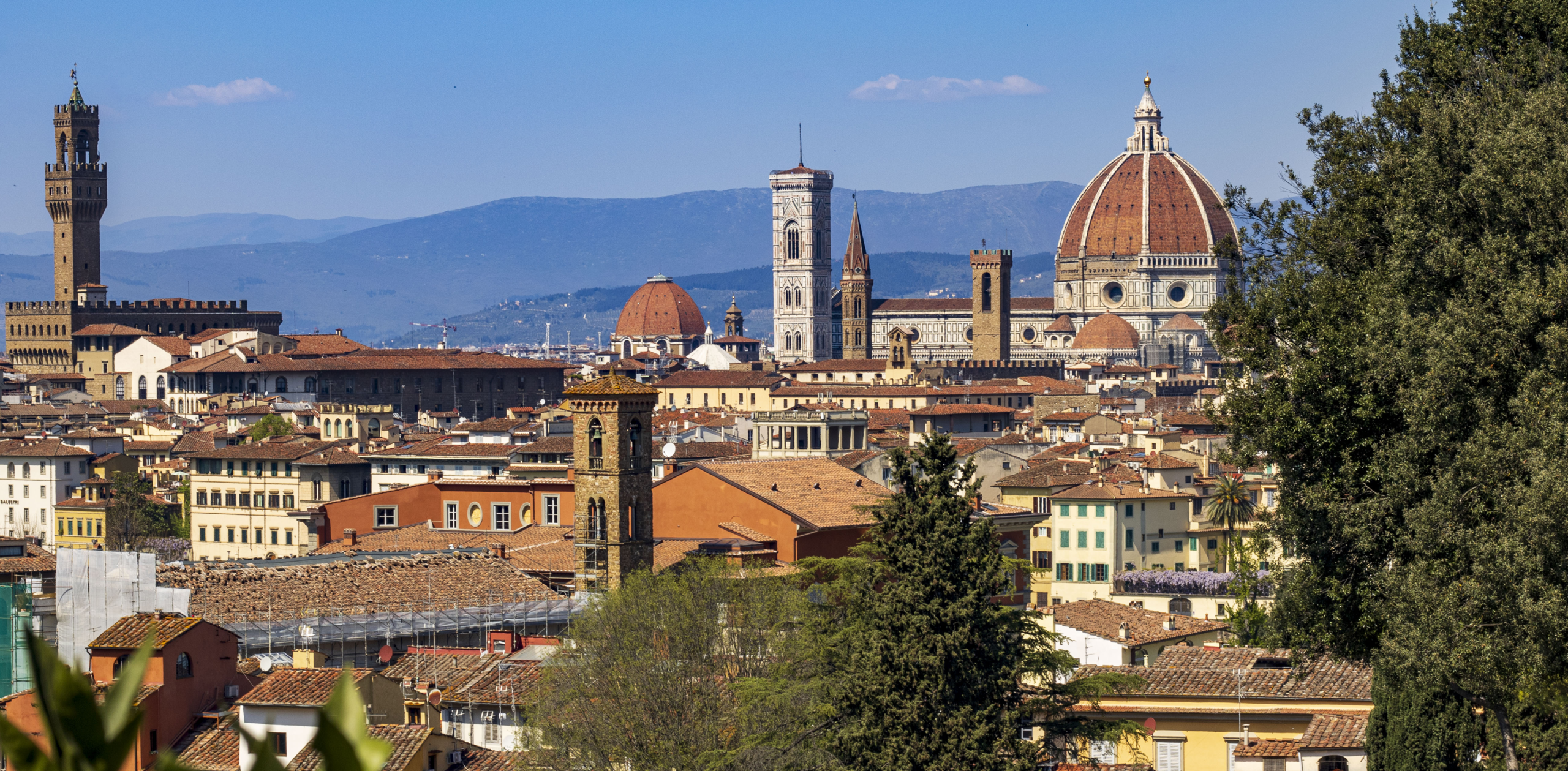 Florence Cover 2