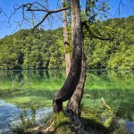 Plitvice Cover