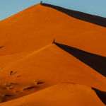 Sahara Cover