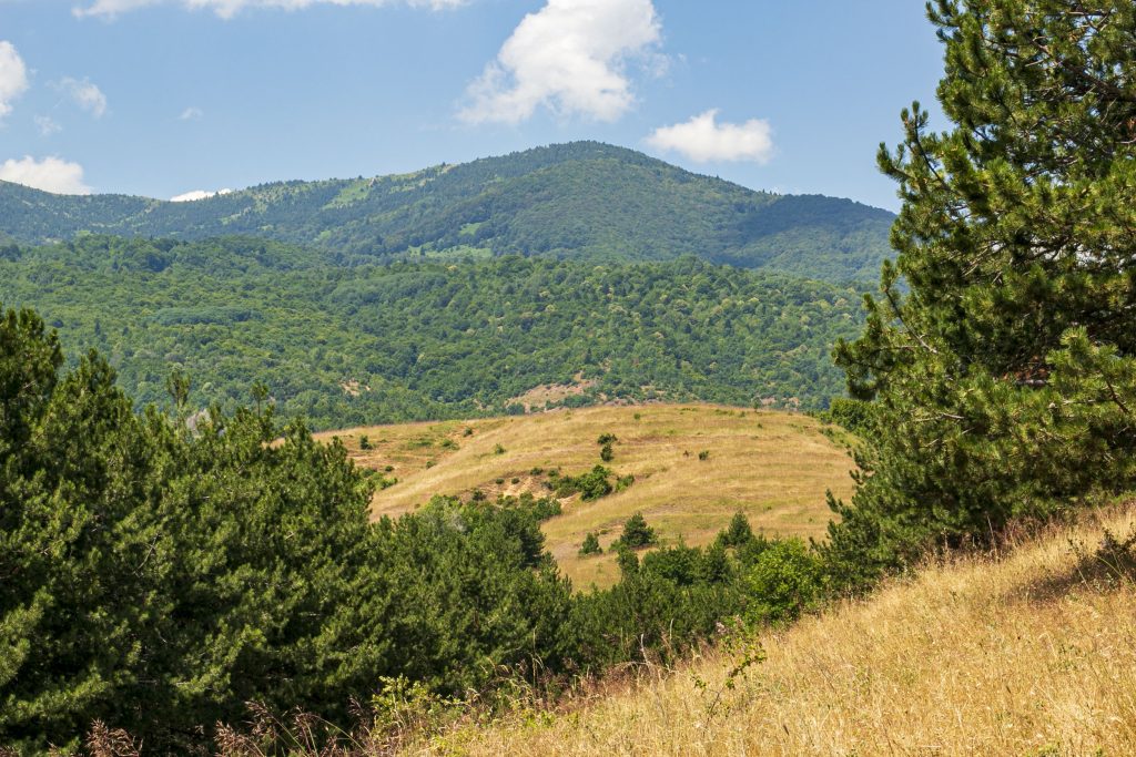 Ko redzēt Bitolā